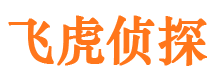 甘泉私人侦探